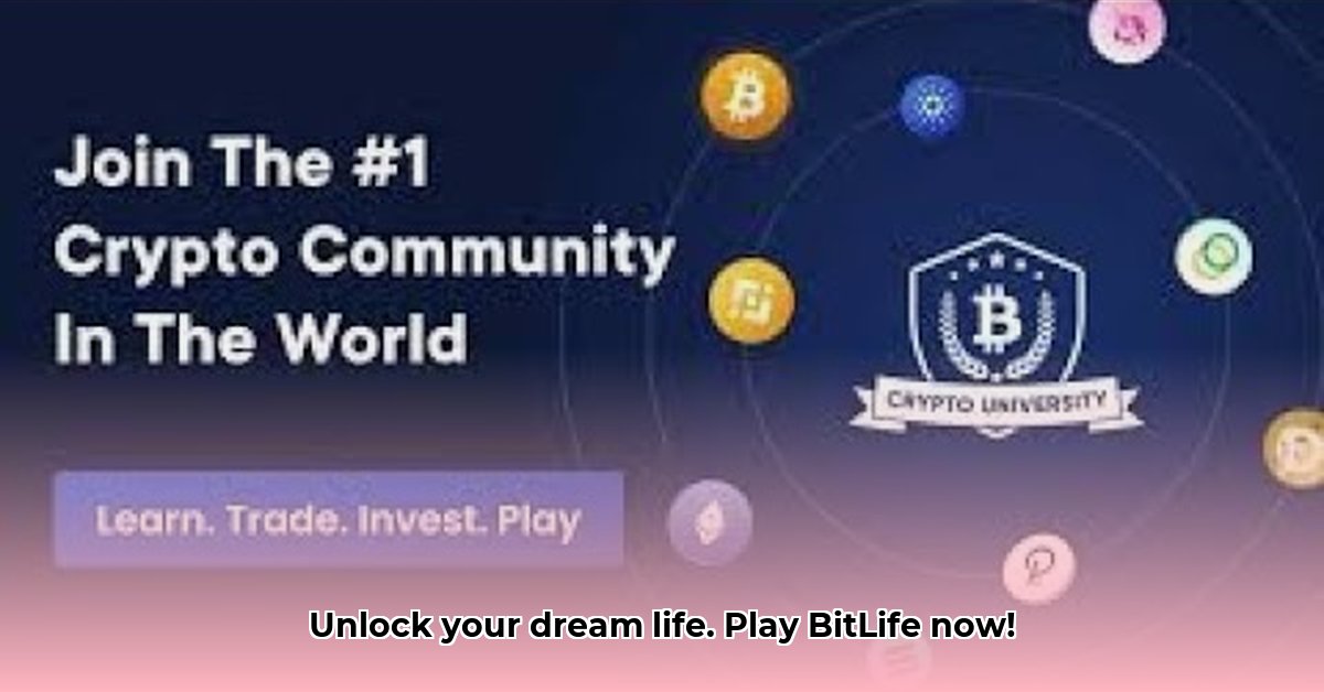 bitlive